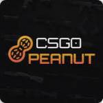 review of csgopeanut