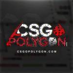 review of csgopolygon