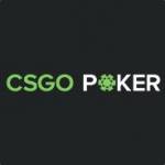 review of csgopoker
